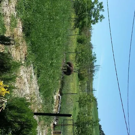 Rural Venta La Vega 2* רונדה